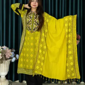 Anjan Cotton || CODE 300 OLIVE